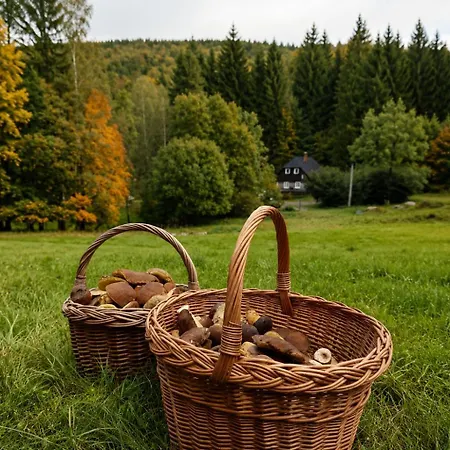 Hébergement de vacances Chaloupka U Lesa Olesnice v Orlickych horach