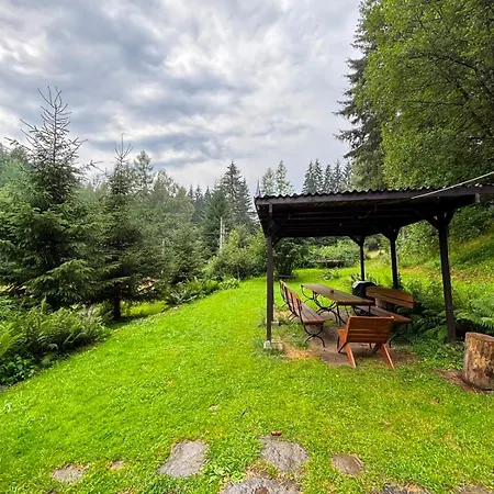 Chaloupka U Lesa Olesnice v Orlickych horach